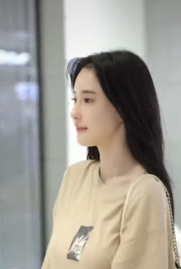 lĩnh vực hoạt động